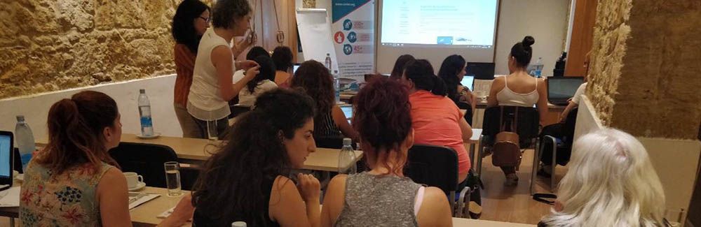 DiSoCi program implementation with adult educators in Cyprus