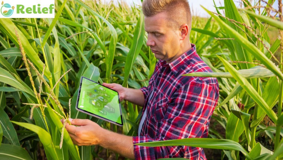 RELIEF Launches Free Online Courses to Enhance Agricultural Bioeconomy Skills