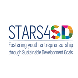 Stars4SD Survey: Young entrepreneurs still face barriers in starting a business