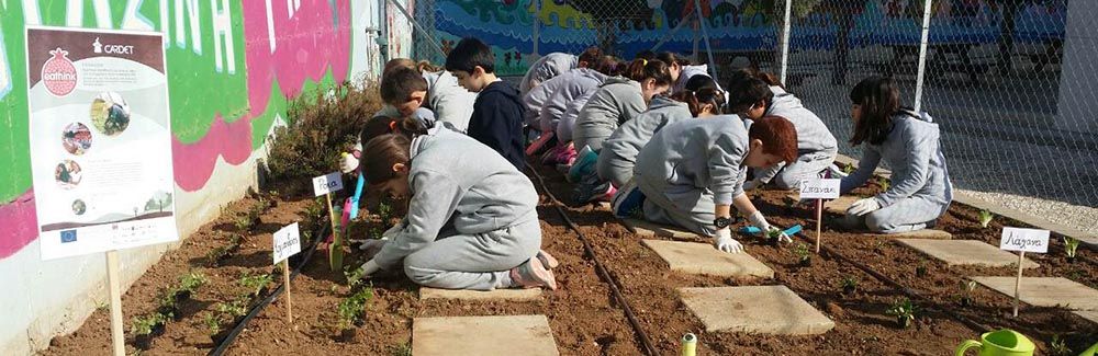 Αποτελέσματα Ευρωπαϊκού και Παγκύπριου Διαγωνισμού Παραγωγής Βίντεο EAThink