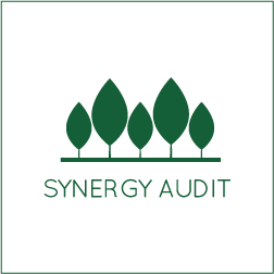 Synergy Audit – SYAT