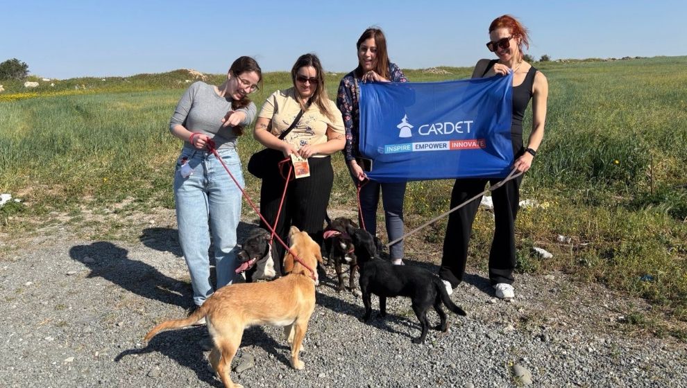 Spreading Love and Care at Dog Shelters