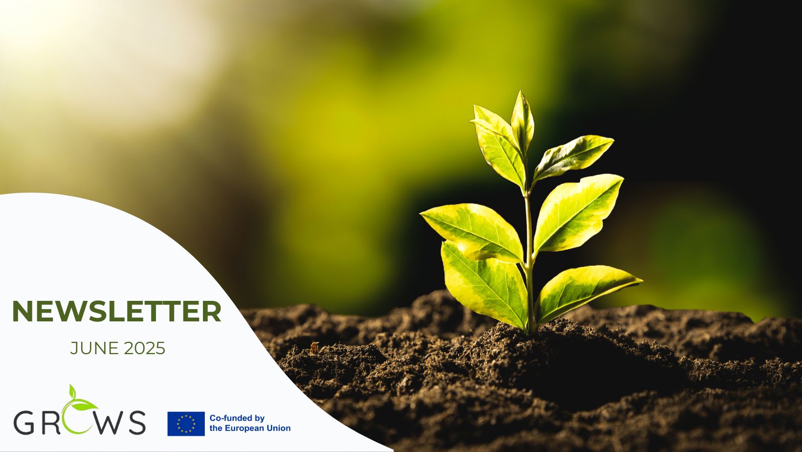 GROWS project release its fourth newsletter