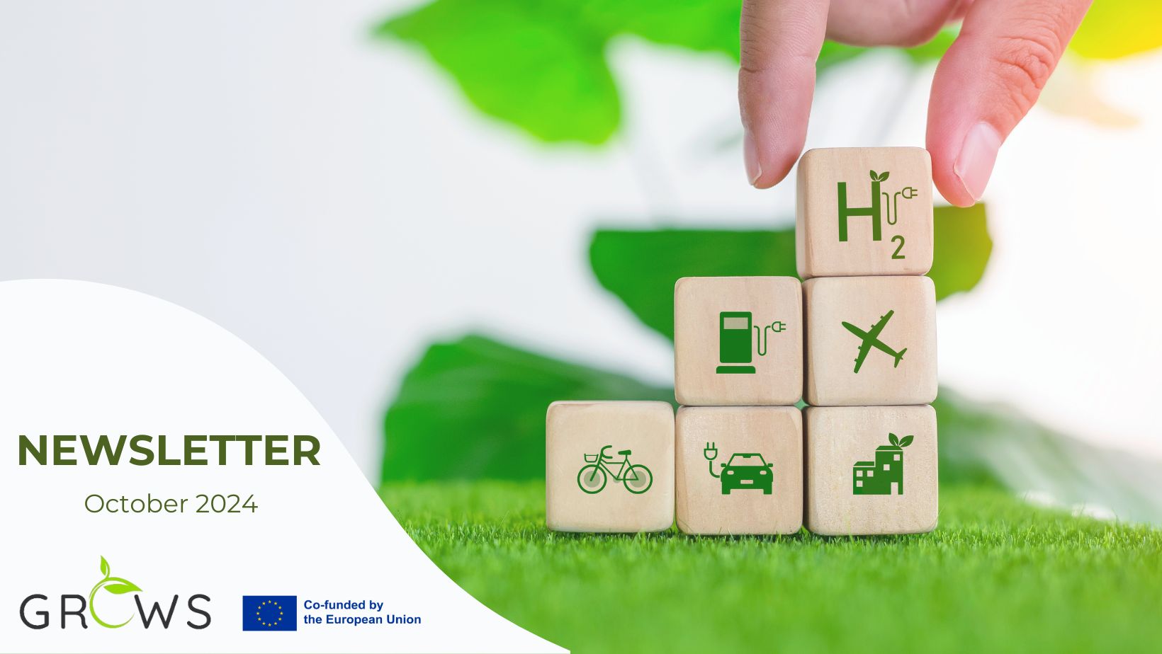 GROWS project second newsletter