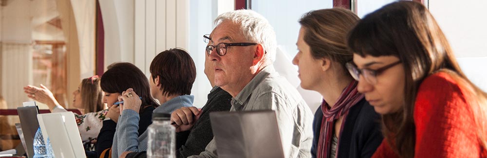 BRAMIR Newsletter 1 January 2017